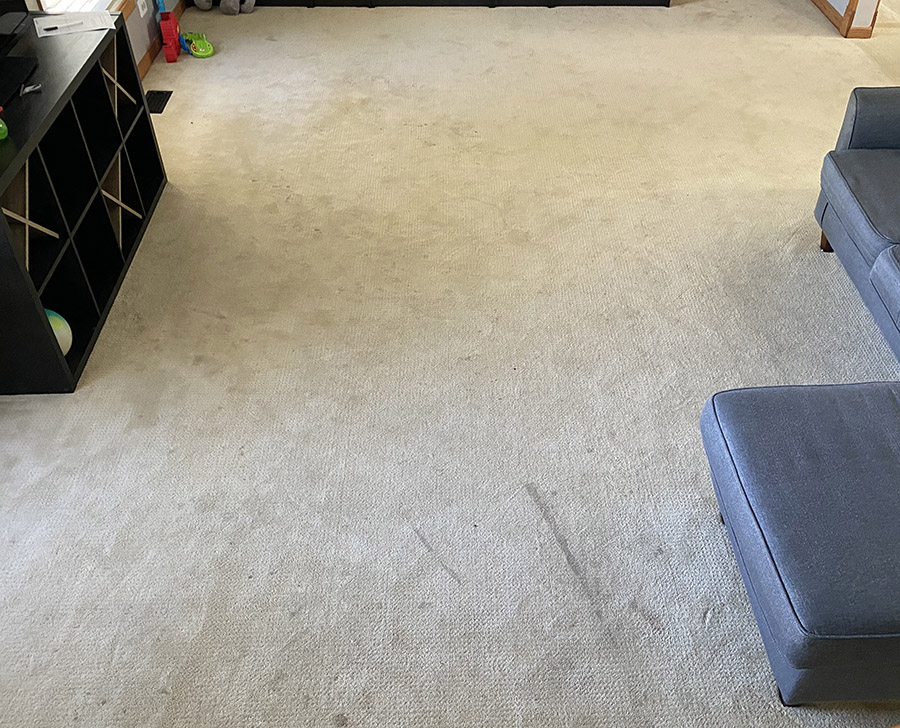 1. Carpet - before