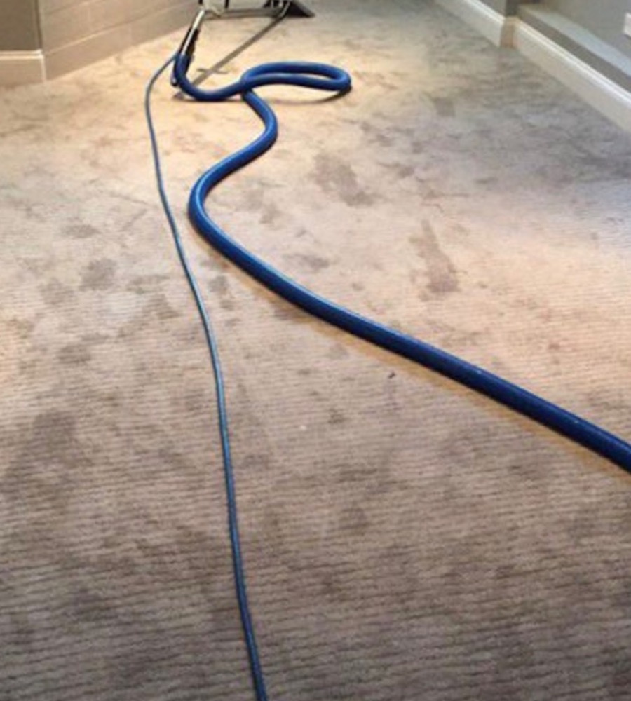 Carpet 3