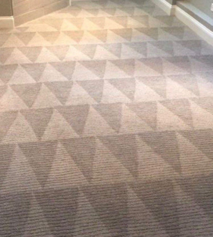 Carpet 4