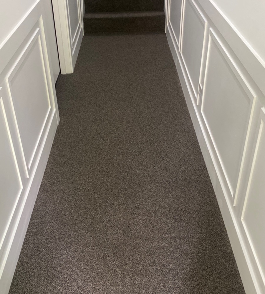 Carpet 5