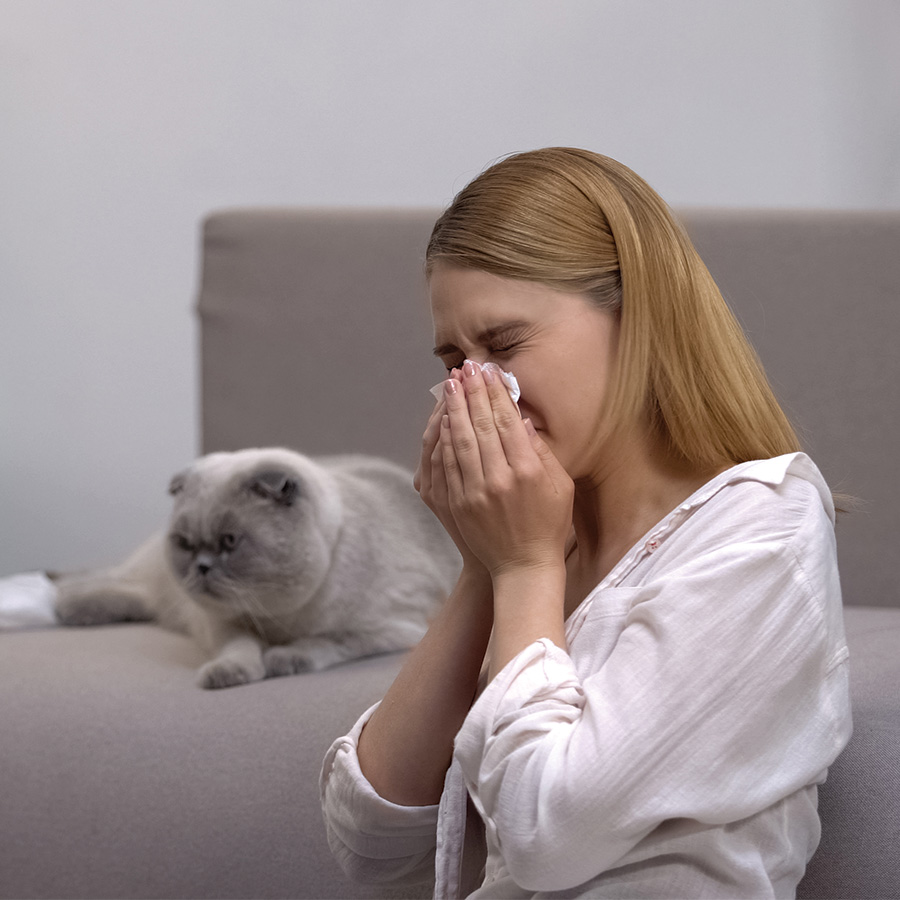 Pet Allergies