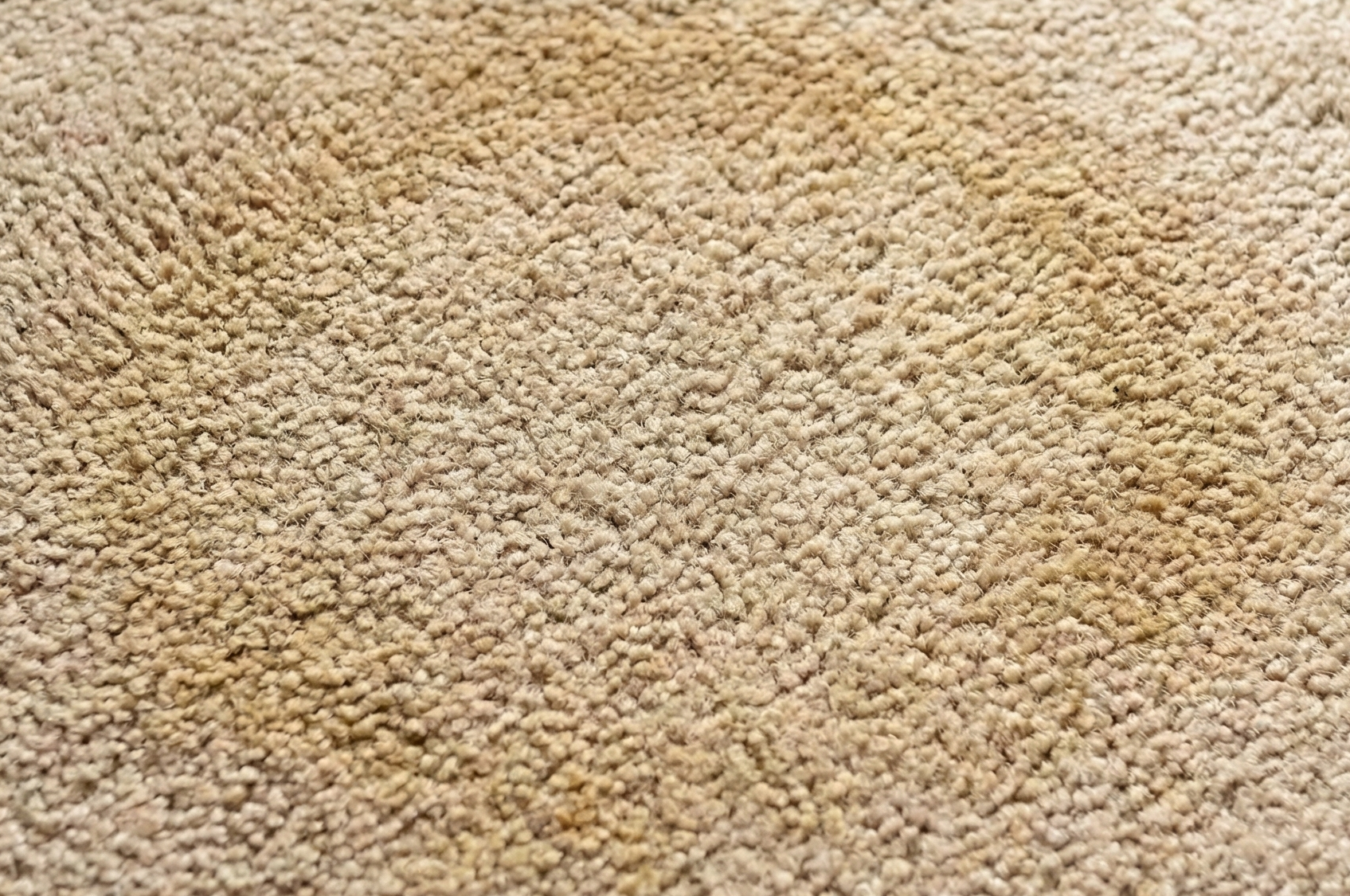 post-holiday stain that someone waited to long to clean